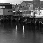 wharf1976